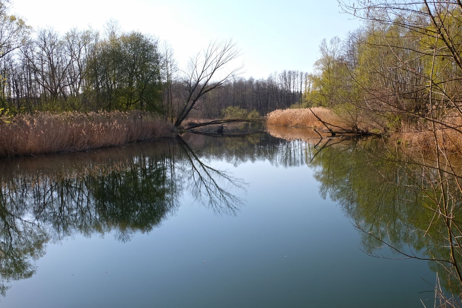 blickinsgruene.at - Steiermark - Fuerstenfeld - Stadtwald 2