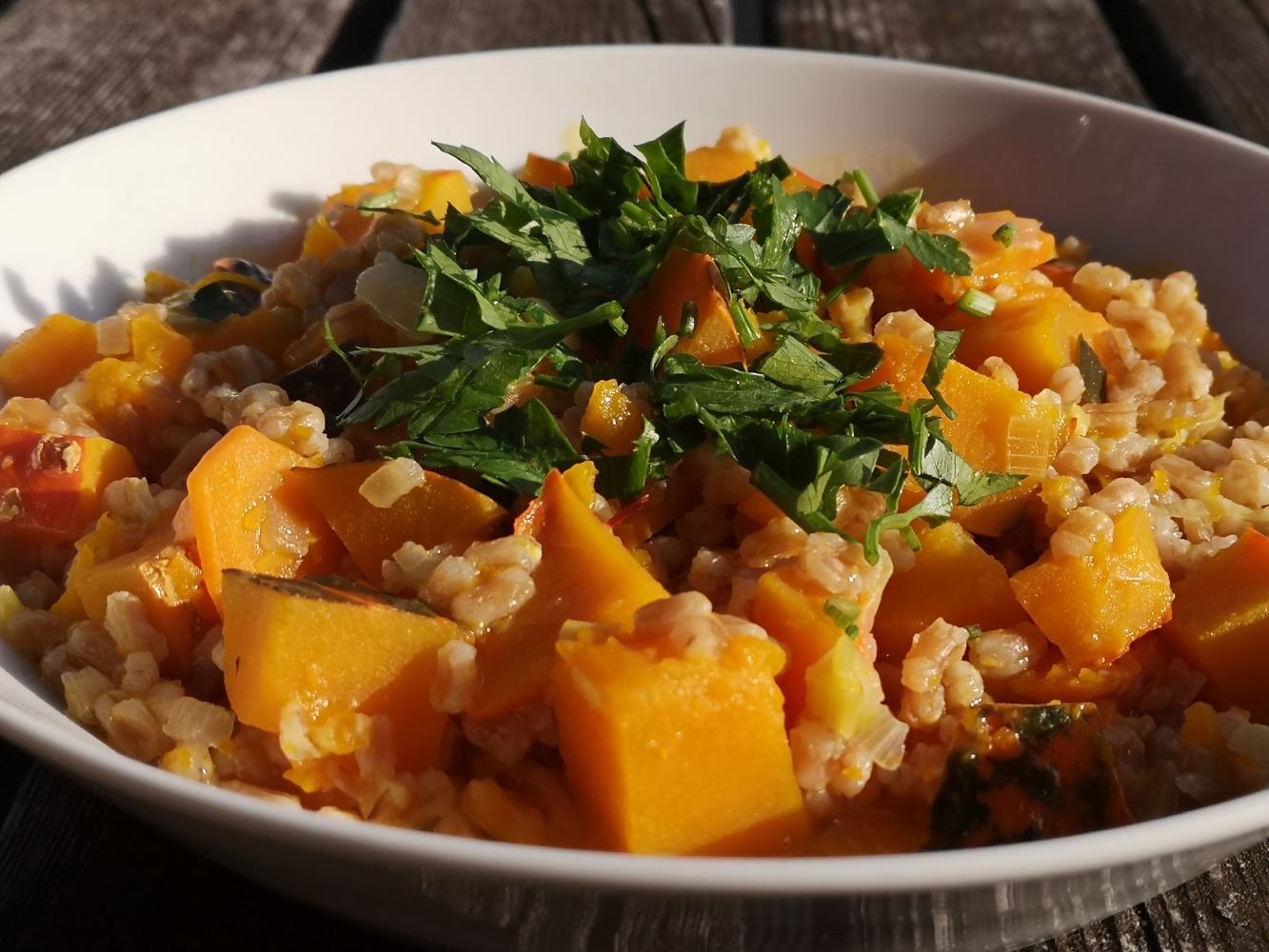 blickinsgruene.at - graz - st.leonhard - veganes_kuerbisrisotto