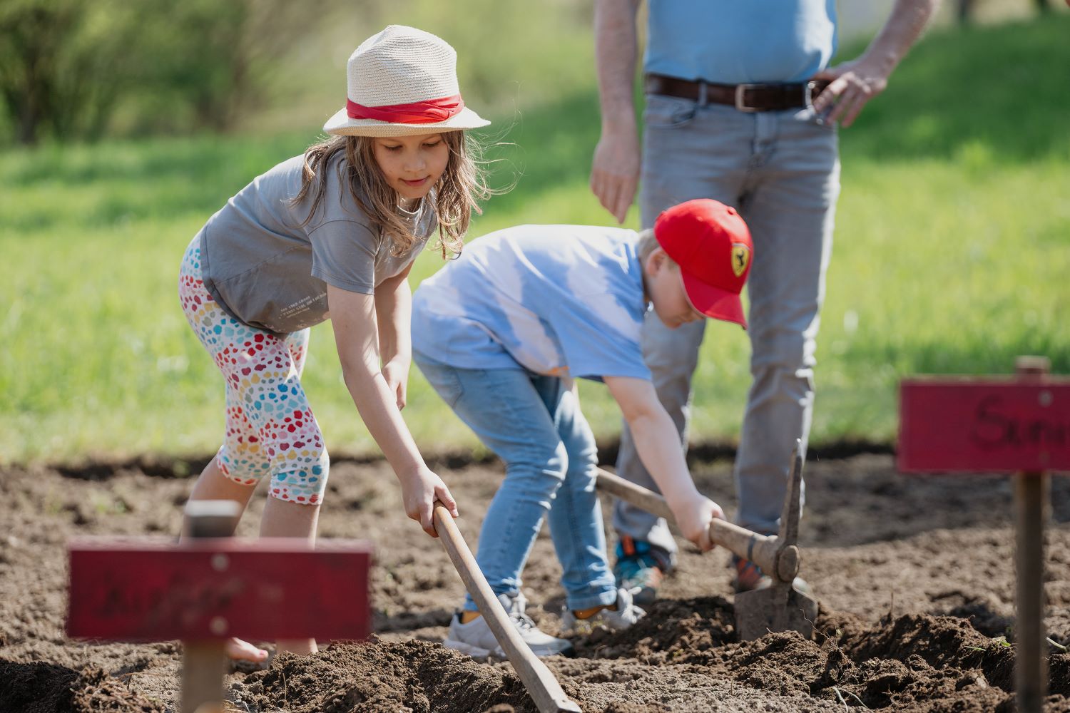 blickinsgruene.at - strass - generationenprojekt erdaepfelocka