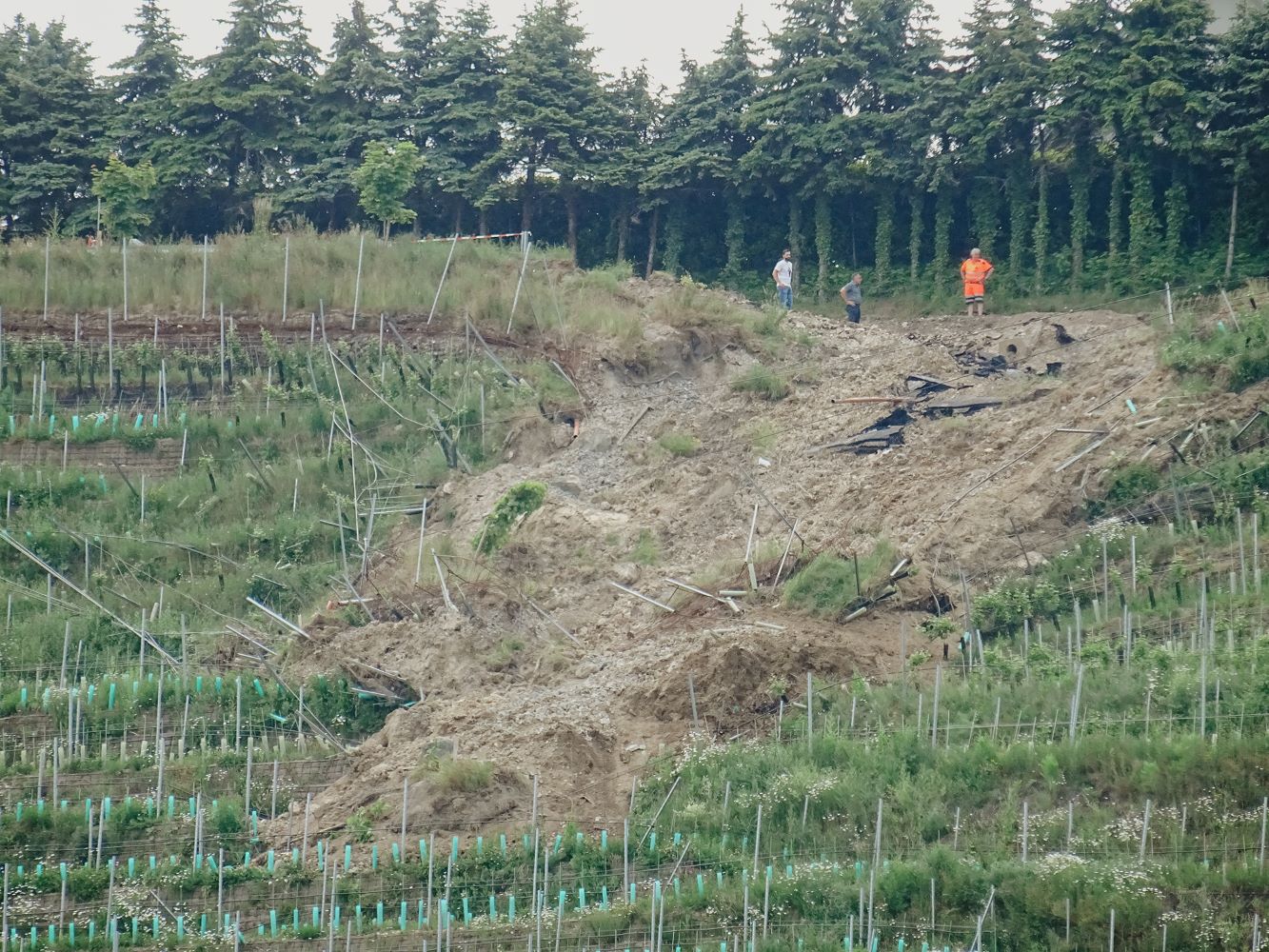 blickinsgruene.at - strass - hangrutschung am grassnitzberg