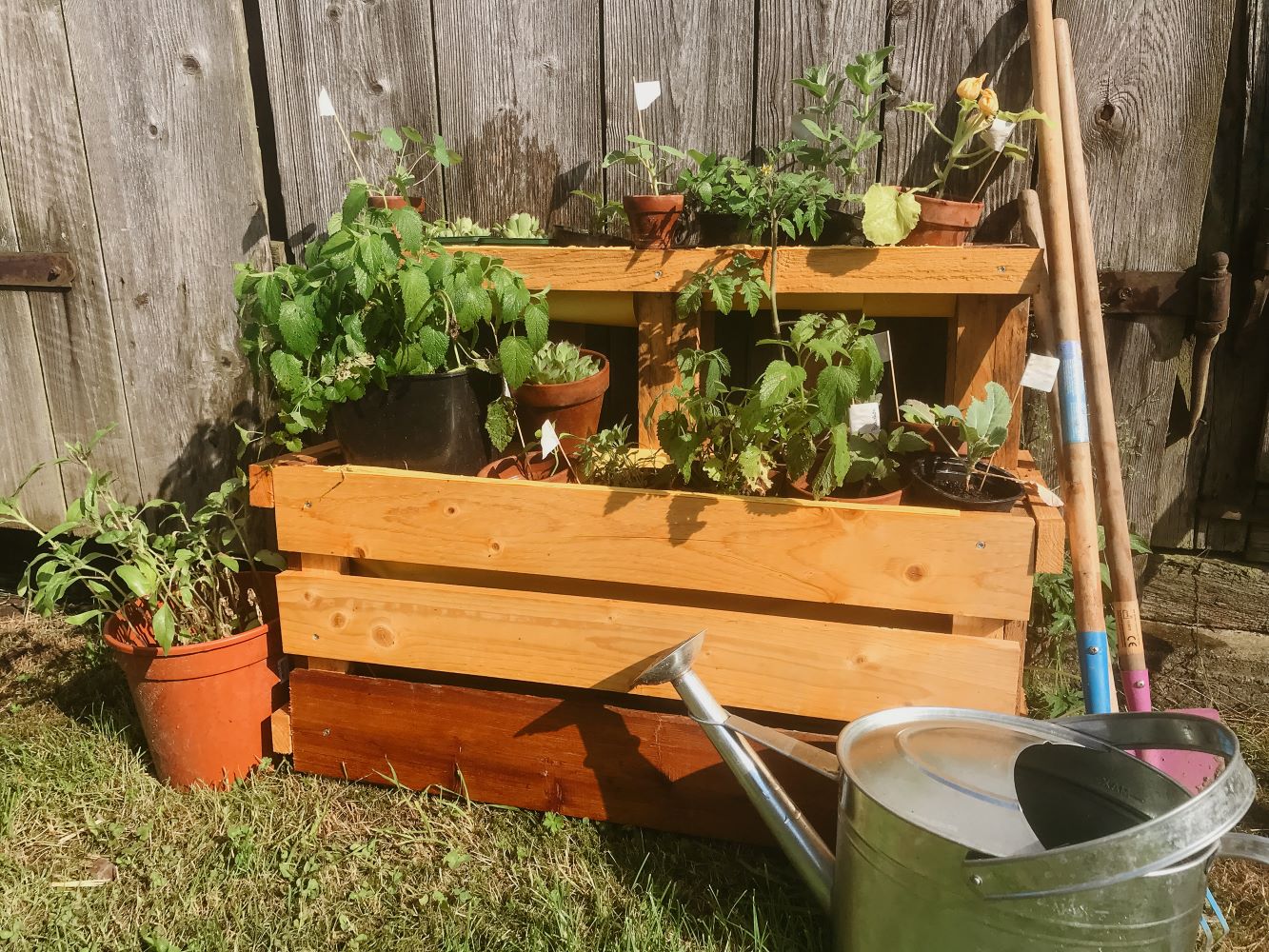 blickinsgruene.at - strass - pflanzenkisterl