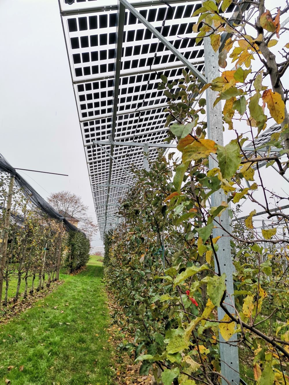 blickinsgruene.at - ludersdorf - regionale Energieversorgung