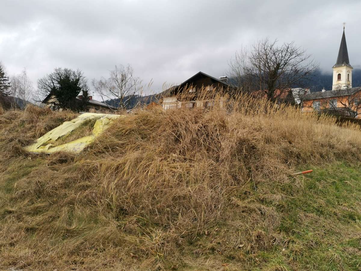 blickinsgruene-at-st-radegund-aerztekammerwiese-c-Guenter-Lesny
