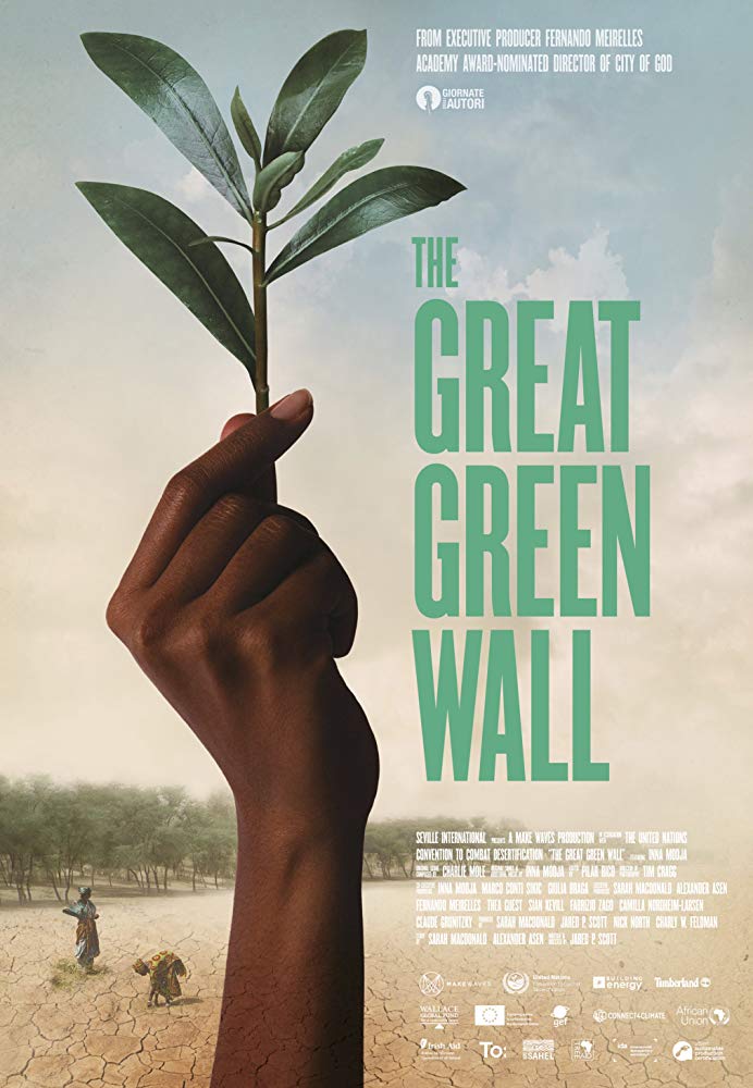 Zu sehen ist: das Filmposter von "The Great Green Wall"