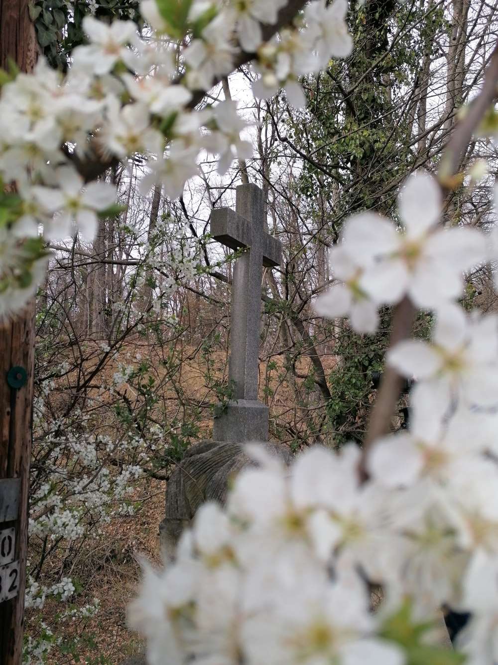 Zu sehen ist: ein Kreuz aus Stein in Mitten eines Waldes, im Vordergrund Blumen.