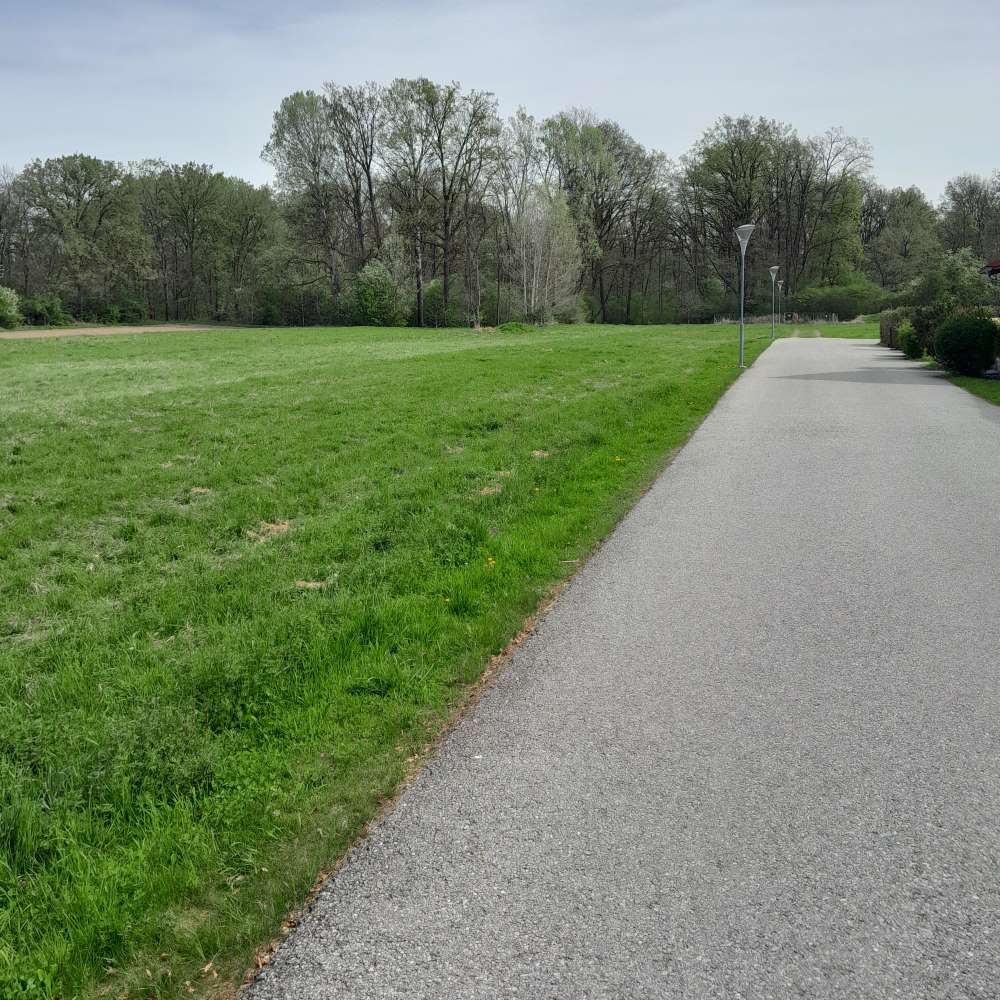 Zu sehen ist: der Aufelderweg