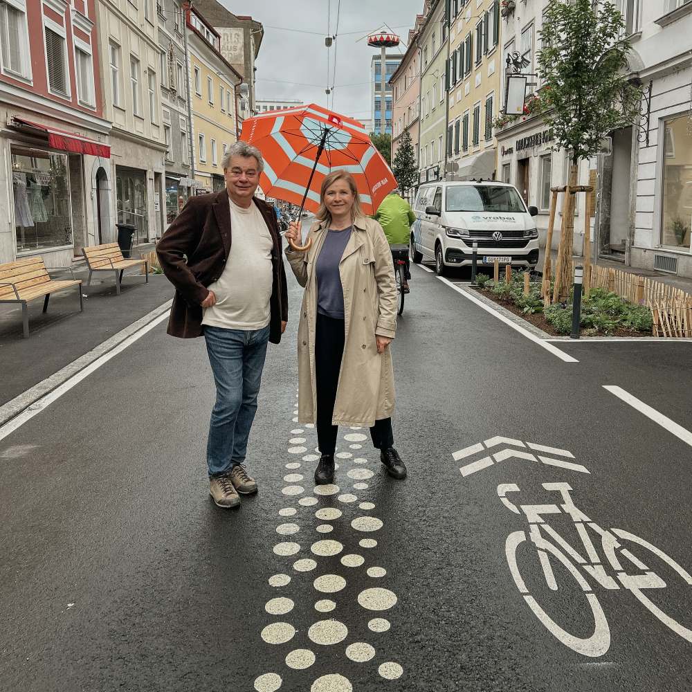 Zu sehen sind: Werner Kogler und Judith Schwentner