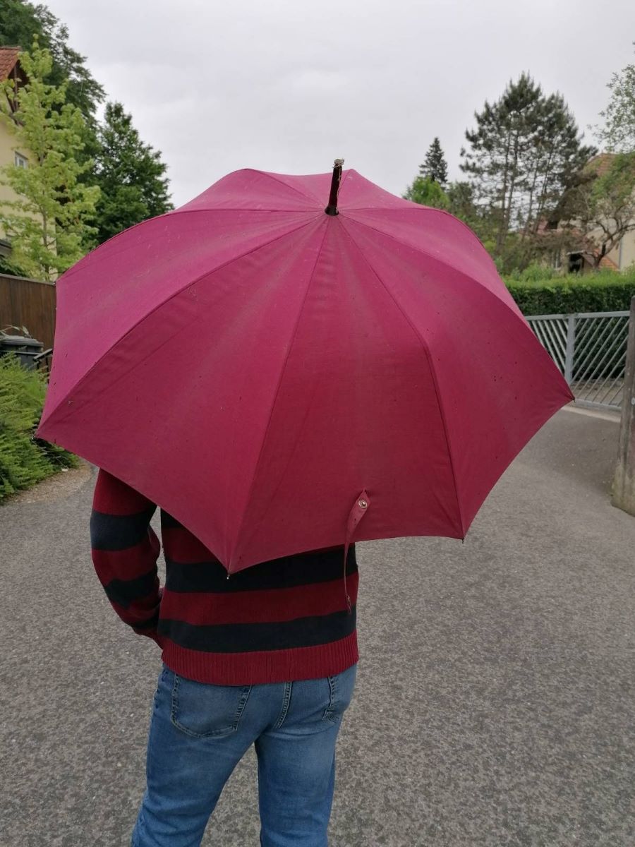 blickinsgruene-No more Singing in the Rain_c_ Irmtraut Eberle-Härtl