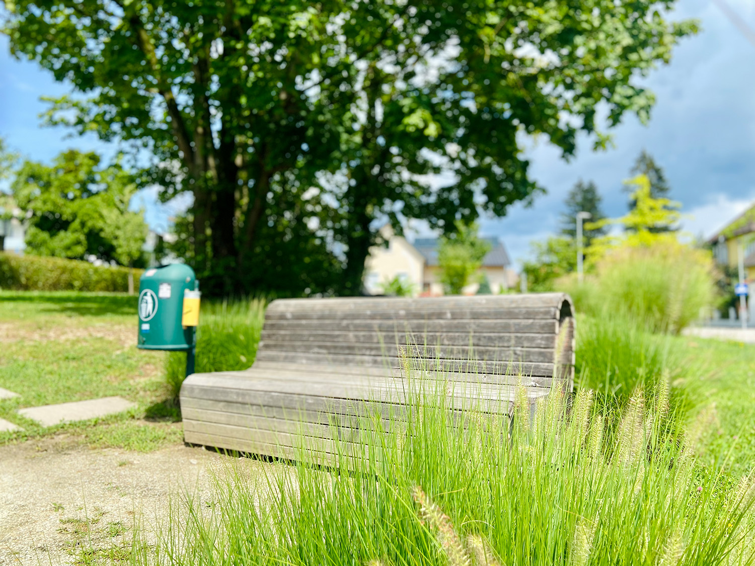 Bankerl_Gruen_Sonnenpark