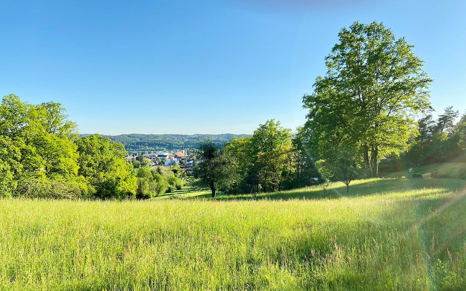 Blick_Gleisdorf_vomKessel
