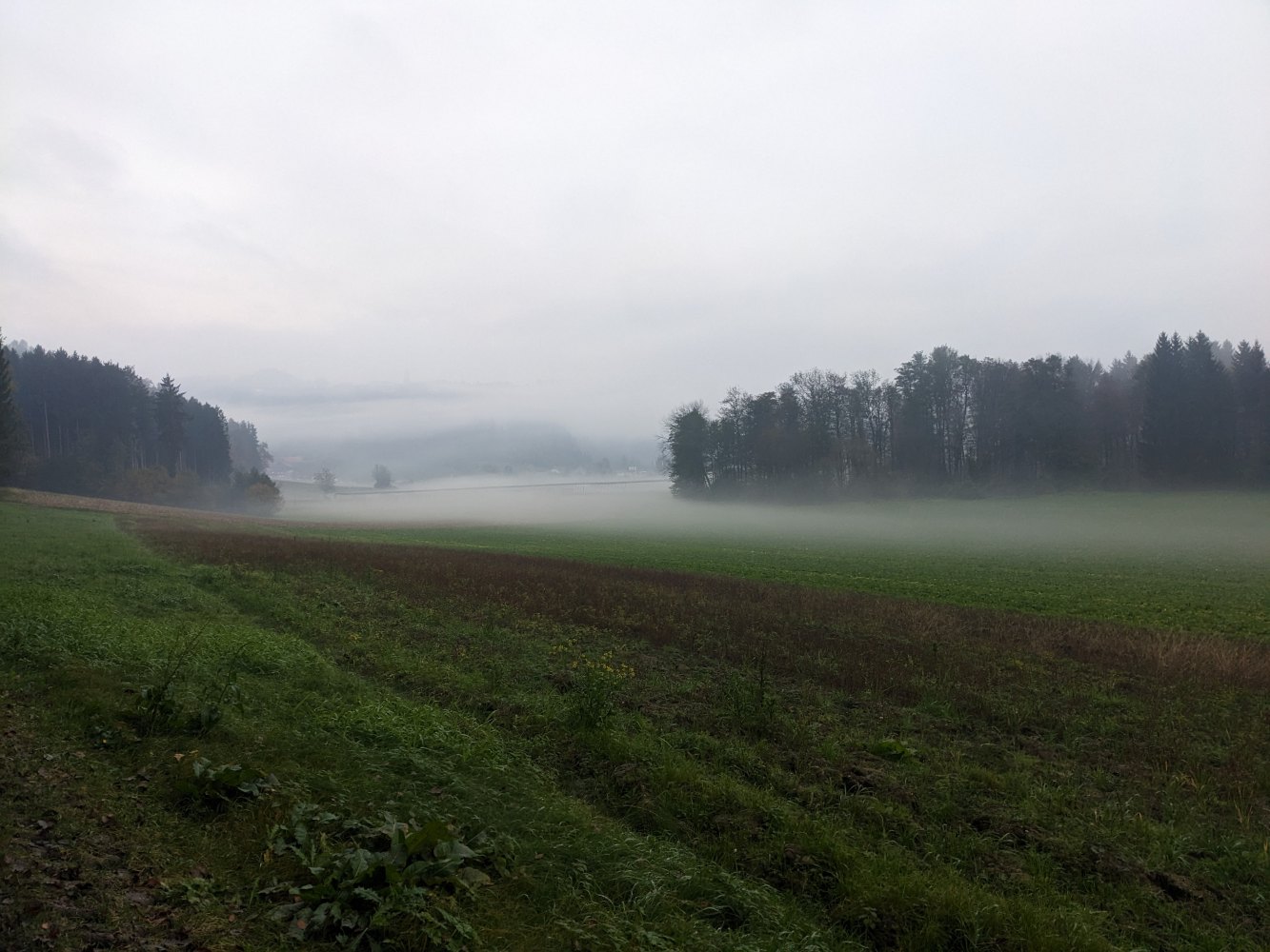 Unsere bisherigen Erfolge und weiteren Ziele für Mitterdorf an der Raab