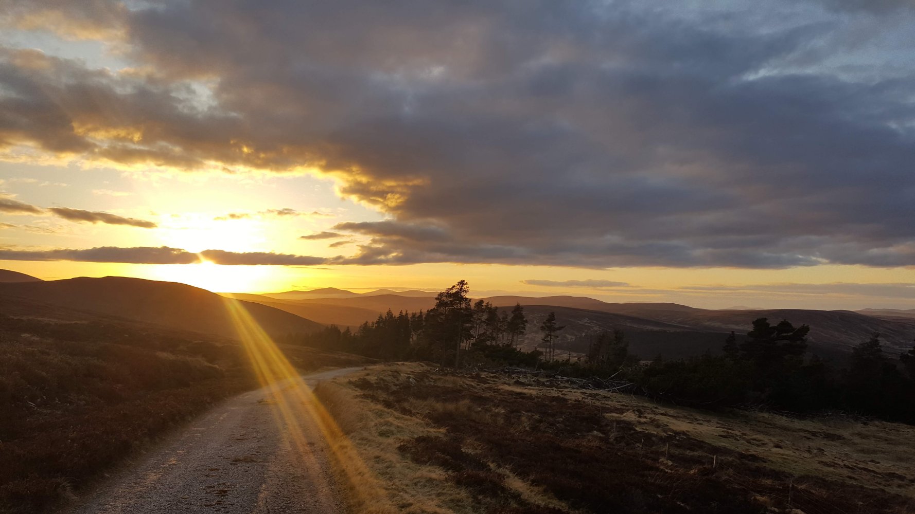 Die Geschichte der Grünen in Mitterdorf an der Raab
