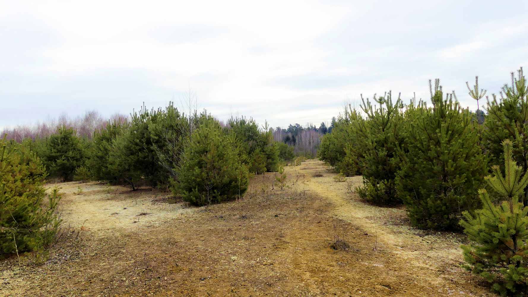 Projekt Bauschuttdeponie in Premstätten
