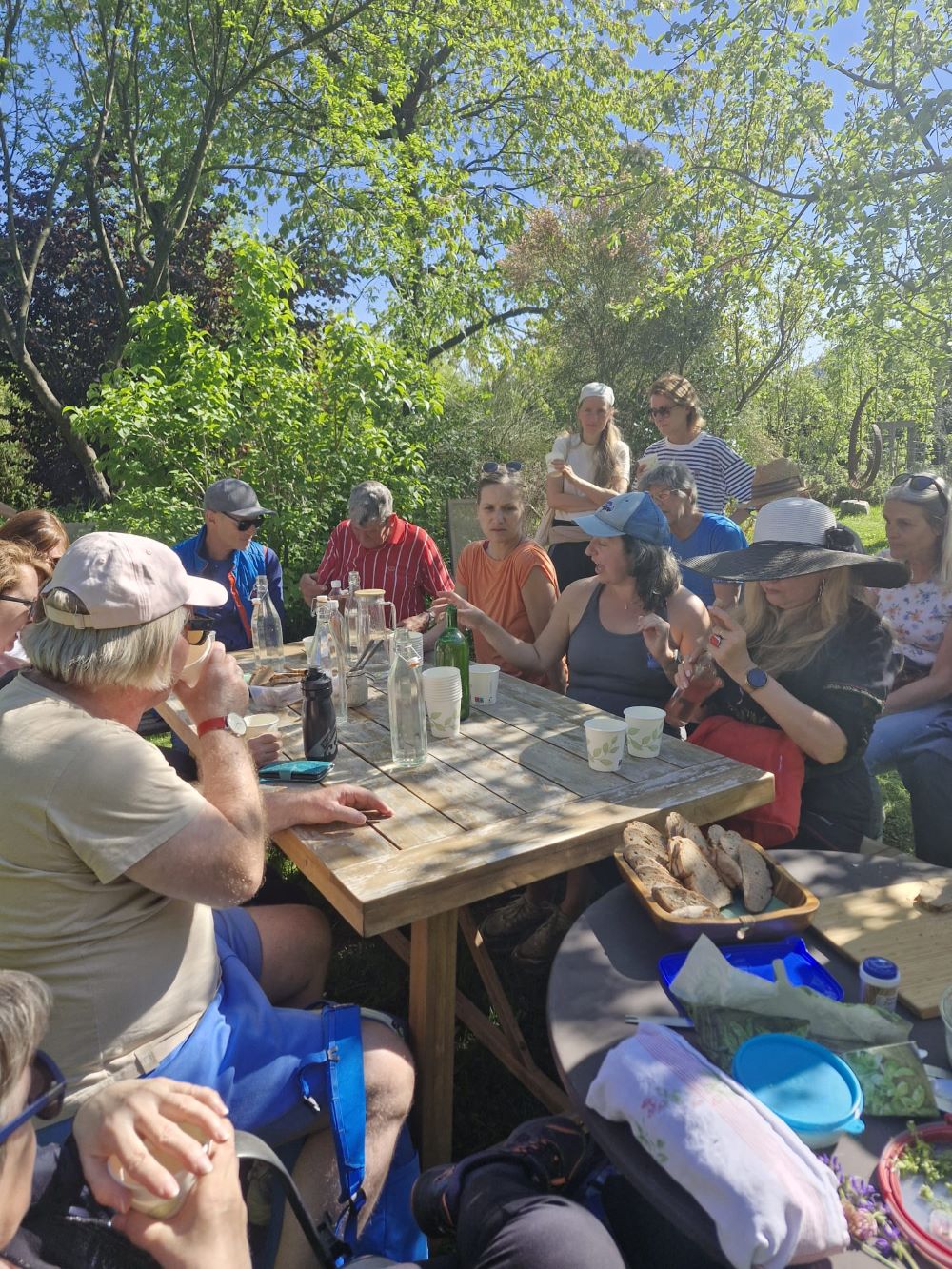 2026-04-25_Frohnleiten_Kräuter3